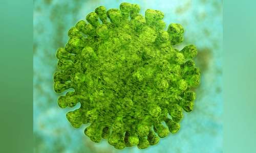 Coronavirus - Mitgliederversammlung 2020 findet statt